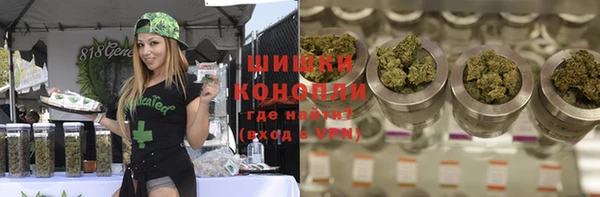 ПСИЛОЦИБИНОВЫЕ ГРИБЫ Абаза