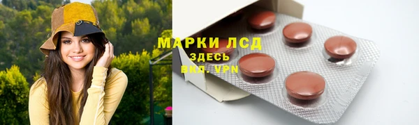ПСИЛОЦИБИНОВЫЕ ГРИБЫ Абаза