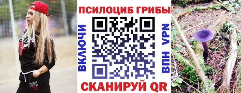 мега как войти  продажа наркотиков  Исилькуль  Галлюциногенные грибы Psilocybe 
